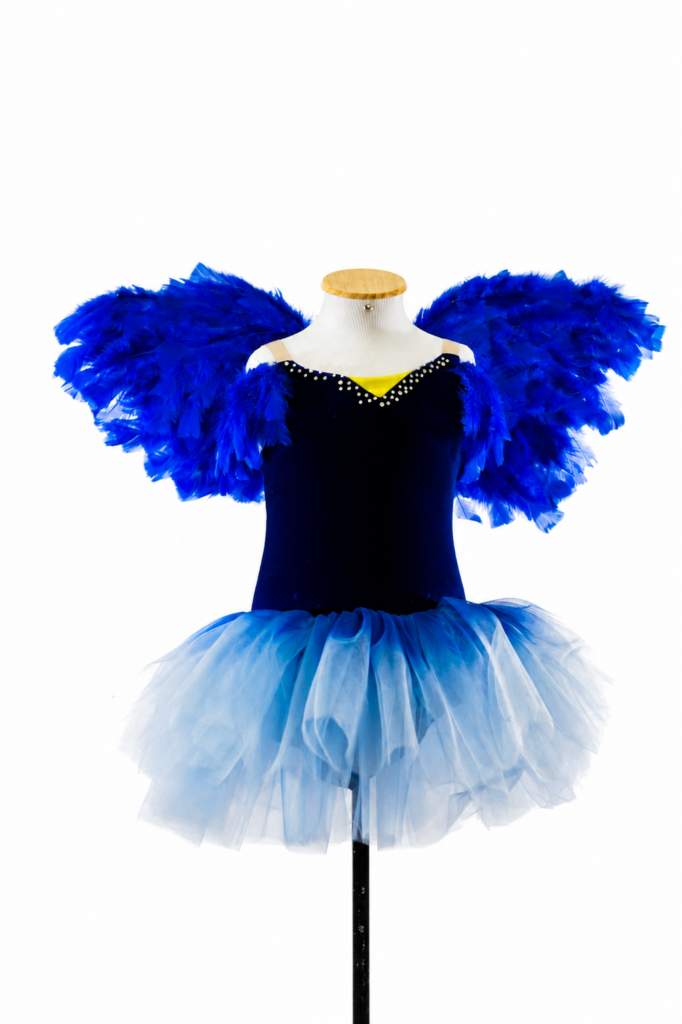 Arara Azul - Imagem 1