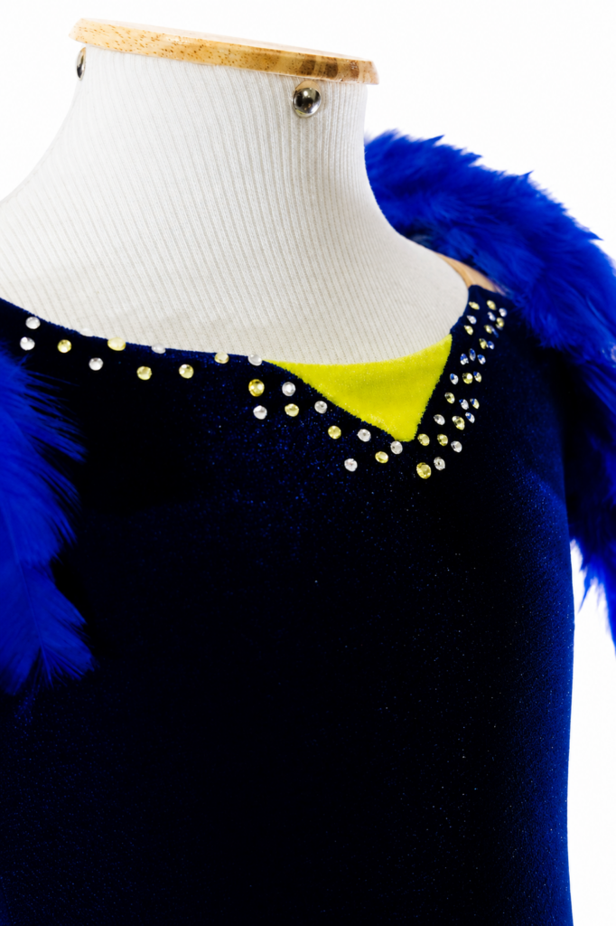Arara Azul - Imagem 3